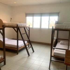 Bed 6-Bed Mixed Dormitory Room